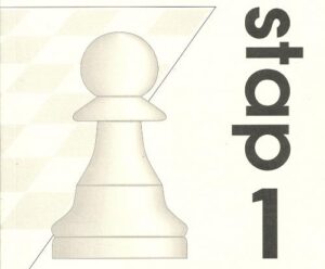 Schaken voor beginners