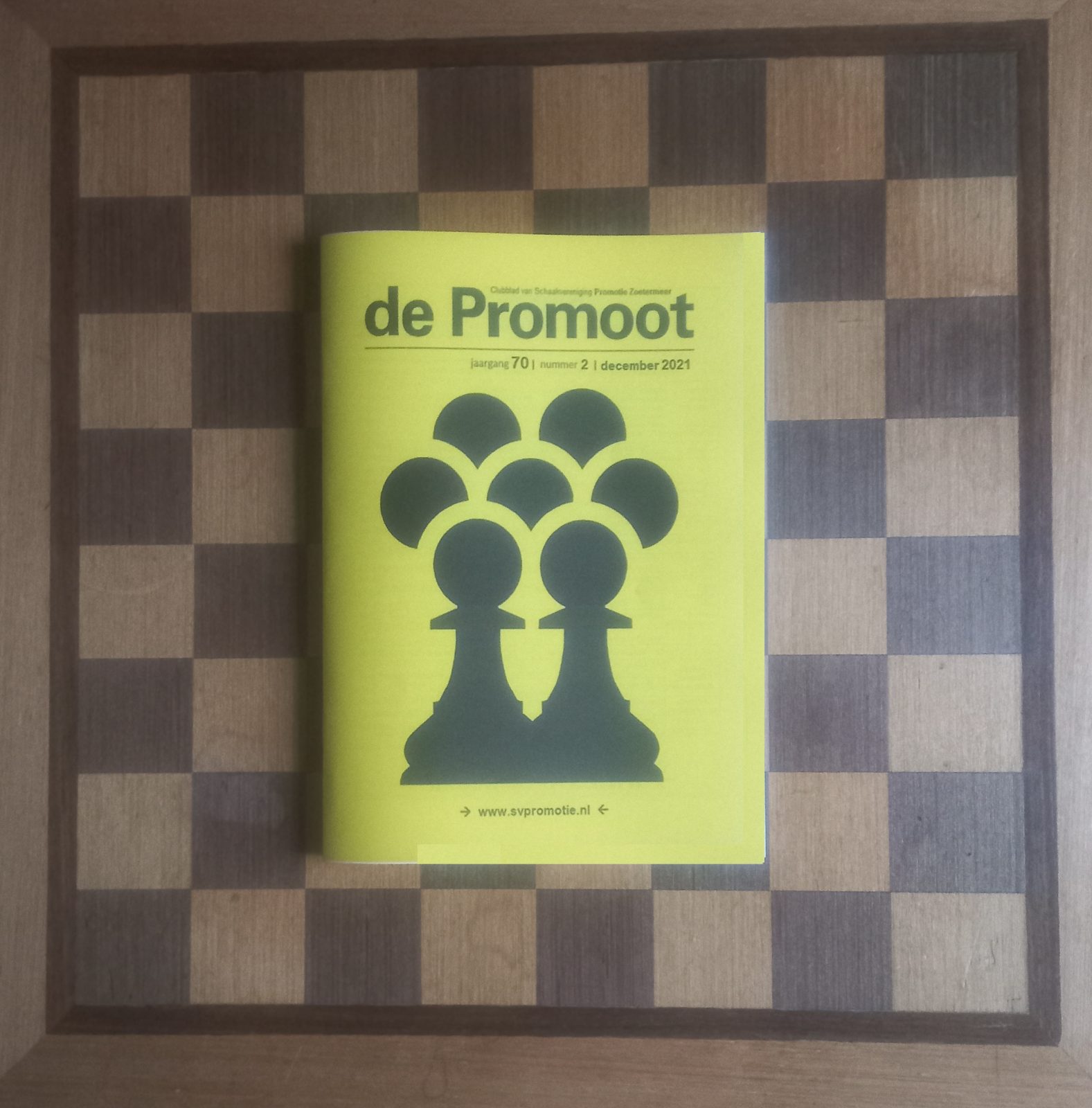 Promoot online