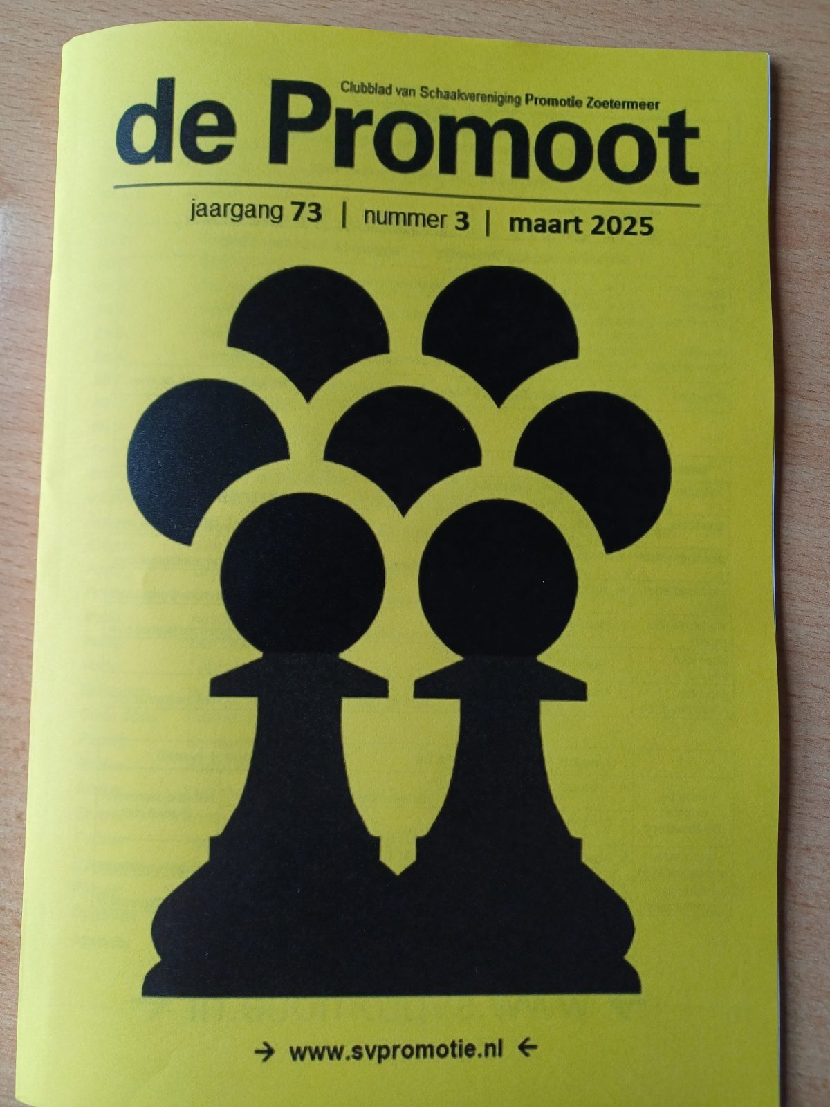 Promoot online