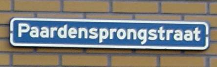Paardensprongstraat