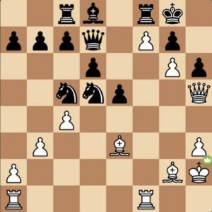 Verslag Botwinnik 2 – Promotie 3