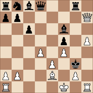 Fide Meester gebruikt geweld